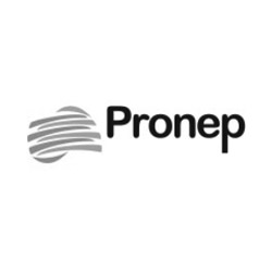 Pronep